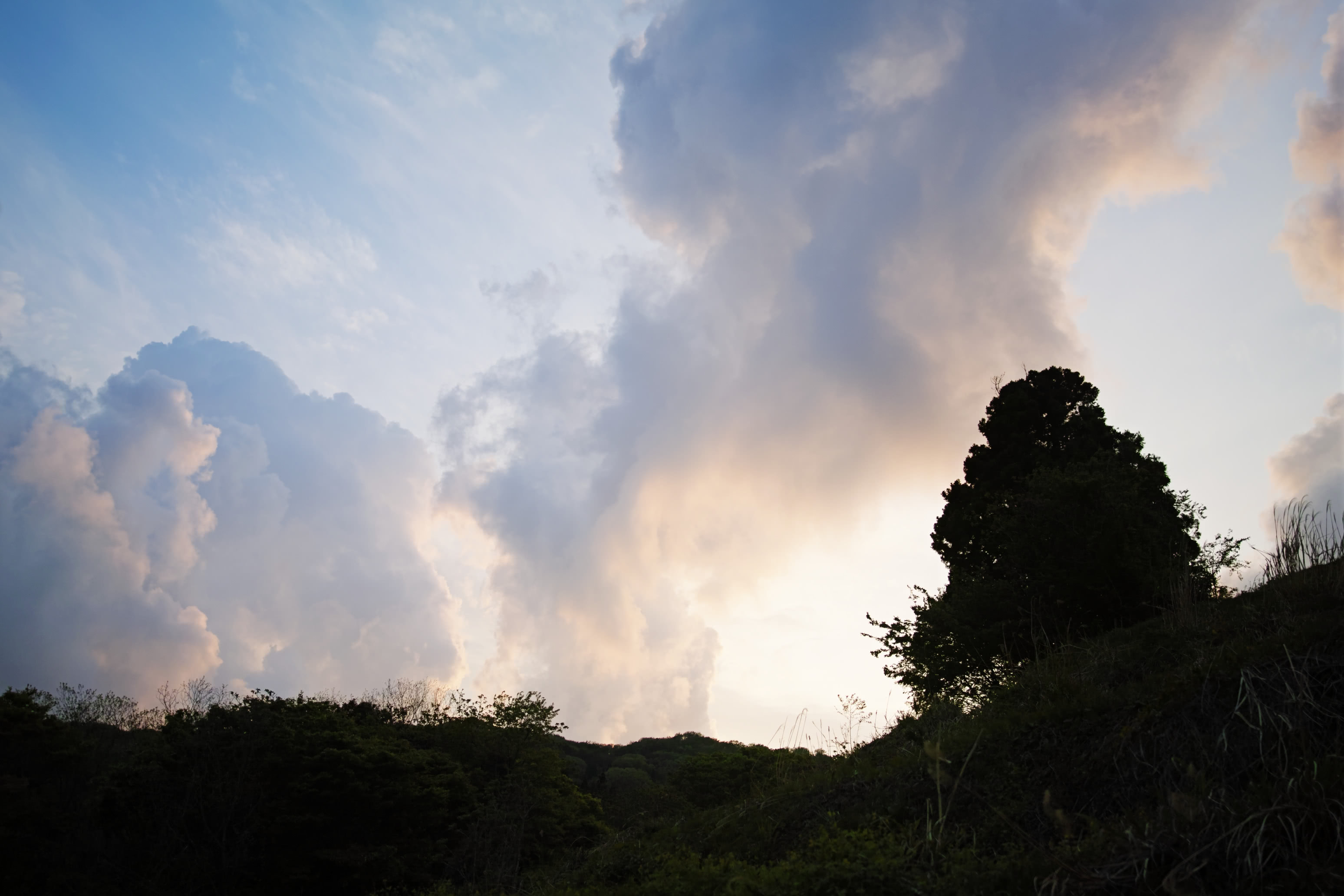 フェロー諸島でクジラ250頭の虐殺で海が真っ赤に染まる