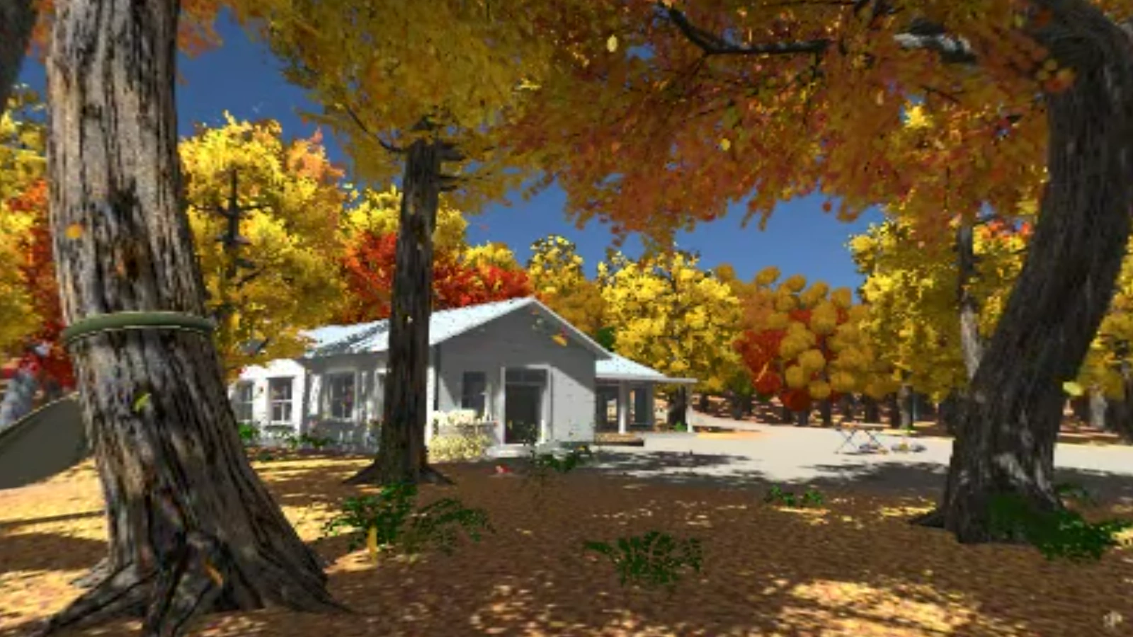 Fall Leaves Fallの紅葉の森
